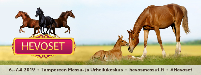 Hevosmessuilta tietoa maneesivalaisusta