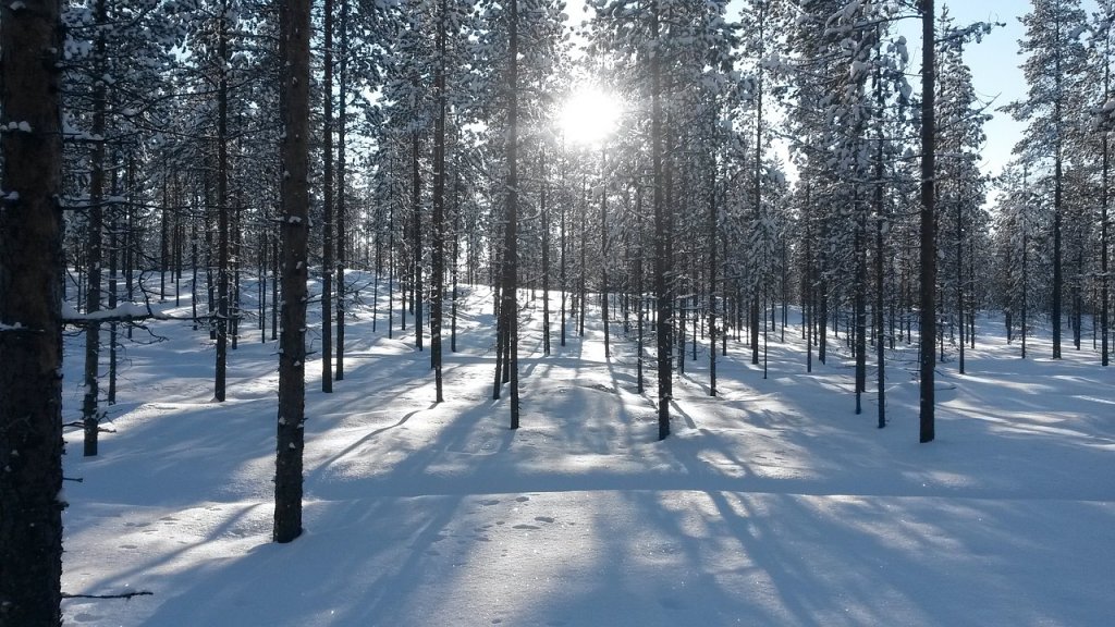 Vastuullisen yrityksen valinta on ympäristöystävällinen LED-valaistus